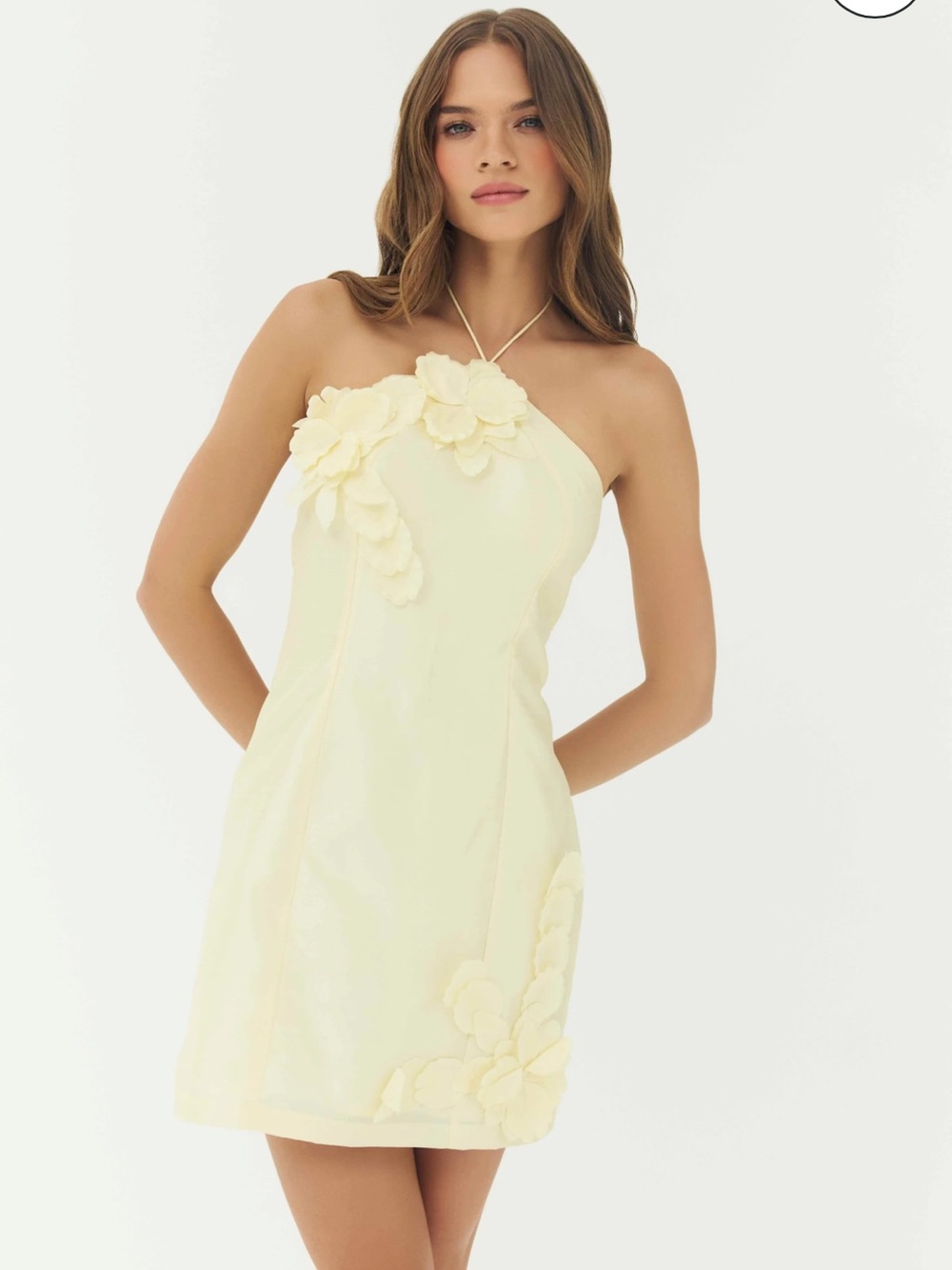 Hutch Cream Strapless Floral Applique Mini Dress